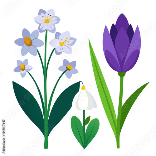 Collection of spring flowers including daffodils snowdrops and tulips silhouette isolated on white background