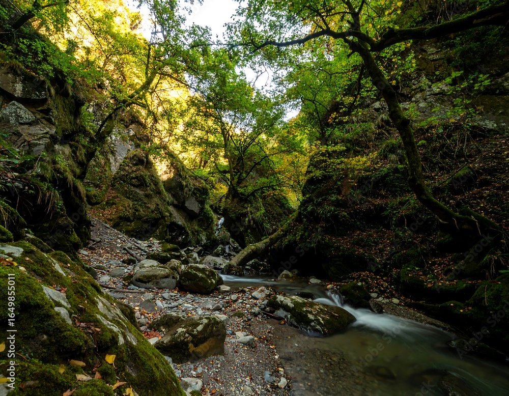 Obraz premium Autumnal mountain stream (4)