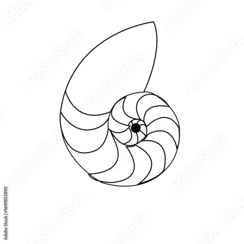 Seashell Vector Outline Minimal Ocean Marine Line Art Icon Illustration