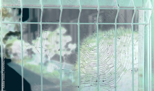 Fotografie The view of male spider the effect