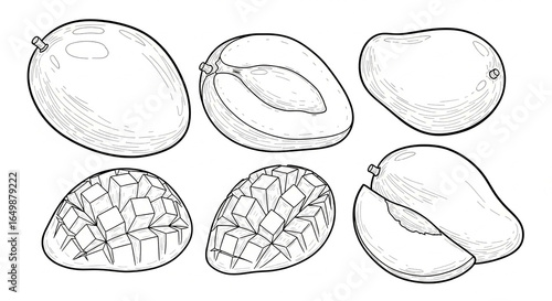 Set of Hand Drawn Mango Fruit Illustrations Including Whole, Sliced, and Diced Views
