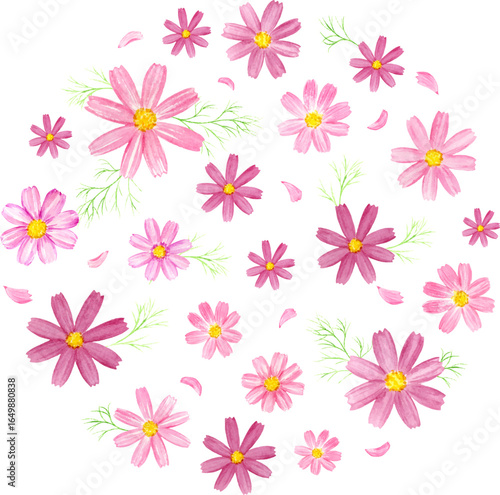 Wallpaper Mural 水彩で描いたコスモスの円形背景　 Torontodigital.ca