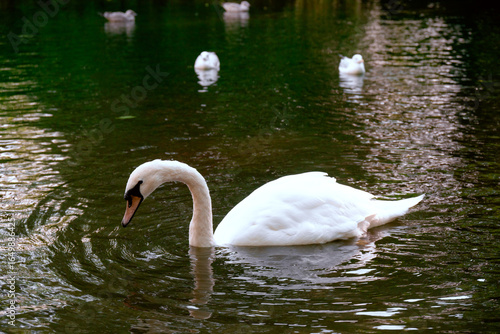 Photography Dublin