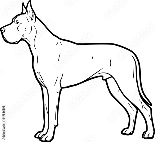Great dane dog standing side view outline vector
