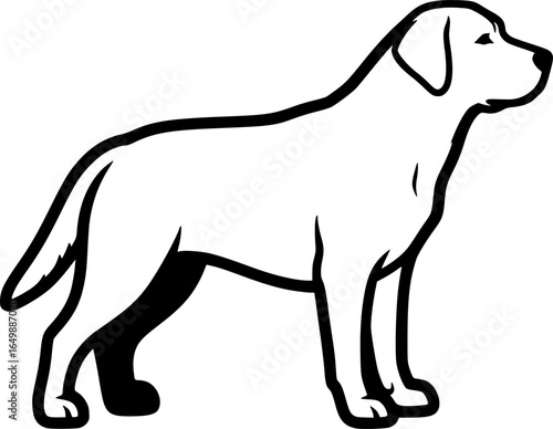 Labrador retriever dog full body side view outline vector
