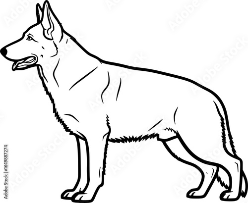 German shepherd dog full body standing side view outline vector
