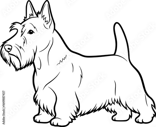 Scottish terrier dog full body standing side view outline vector
