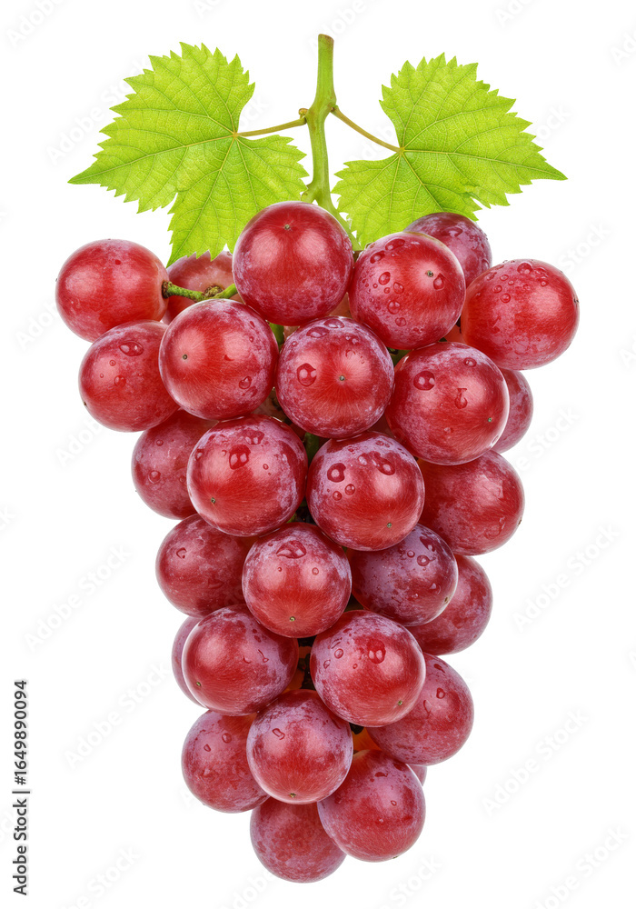 Fototapeta premium A cluster of purplish-red grapes with water droplets, surrounded by green leaves, against a plain white background.