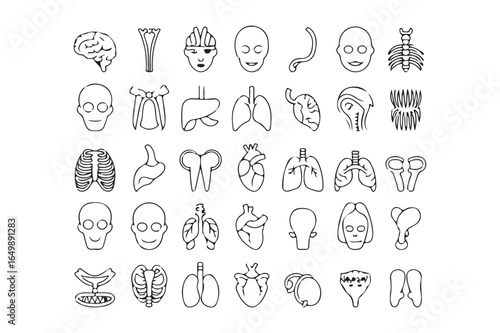 Wallpaper Mural Human Organs and Anatomy Icons Set – Medical Line Art Collection Torontodigital.ca