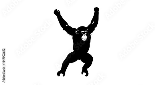 dramatic chimpanzee silhouette transparent background for product photography