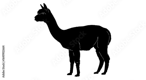 elegant alpaca silhouette transparent background for luxury branding