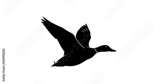 elegant black duck silhouette transparent background for luxury designs