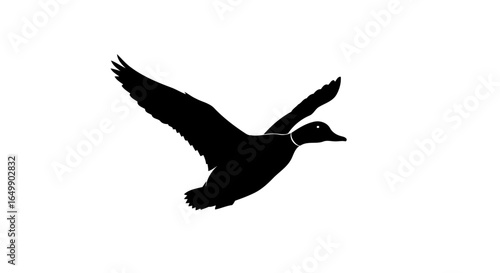 elegant black duck silhouette transparent background for minimalist designs