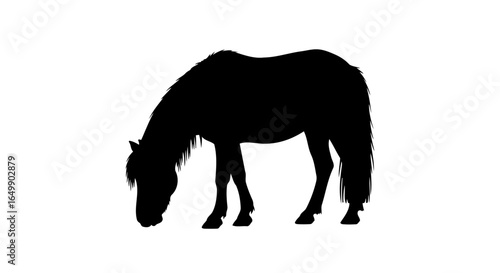 elegant black horse silhouette transparent background for luxury branding design