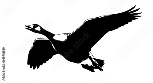 elegant black goose silhouette transparent vector for modern designs
