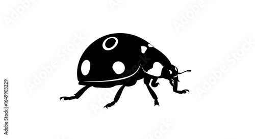 elegant black ladybug silhouette transparent background for minimalist designs