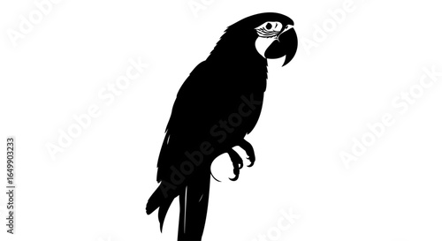 elegant black macaw silhouette transparent background for modern designs