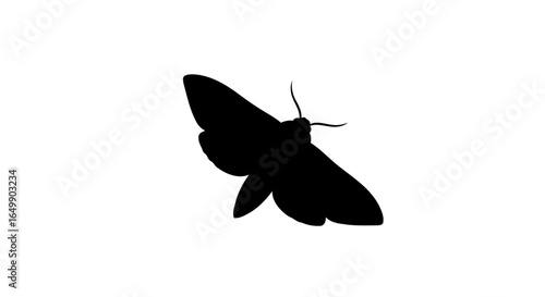 elegant black moth silhouette transparent png for design overlay