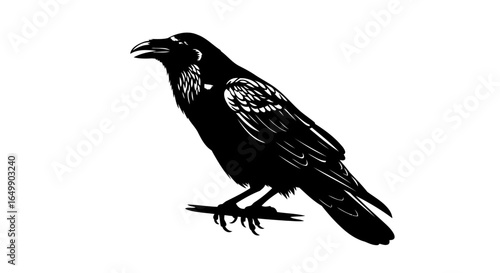 elegant black raven silhouette transparent background for modern designs