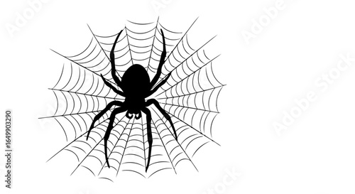 elegant black spiderweb and spider silhouette transparent background for minimalist designs