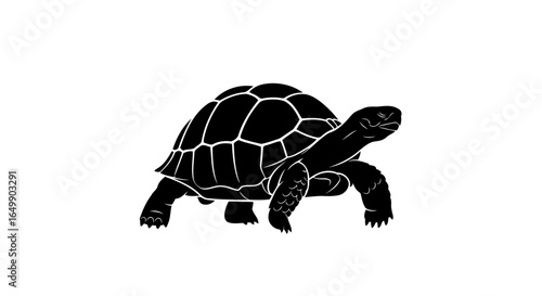 elegant black tortoise silhouette transparent background for luxury branding