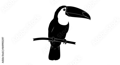 elegant black toucan silhouette transparent png for minimalist designs