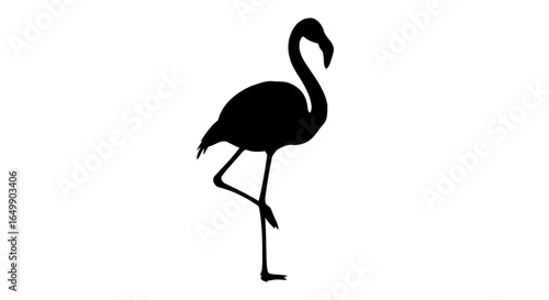 elegant flamingo silhouette transparent vector for modern designs presentations