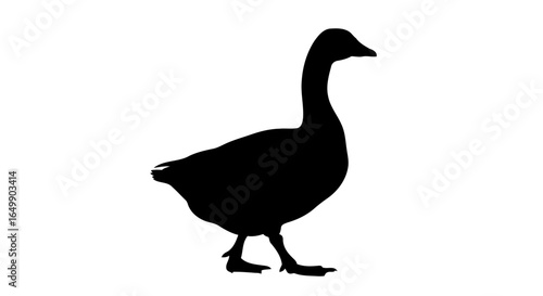 elegant goose silhouette transparent vector for modern designs presentations