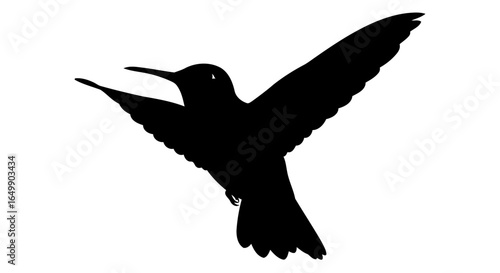 elegant hummingbird silhouette transparent png for design overlay
