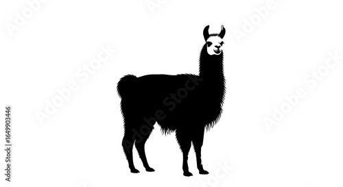 elegant llama silhouette transparent background for minimalist luxury designs