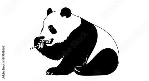 elegant panda silhouette transparent background for modern designs presentations