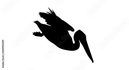 elegant pelican silhouette transparent vector for coastal branding websites