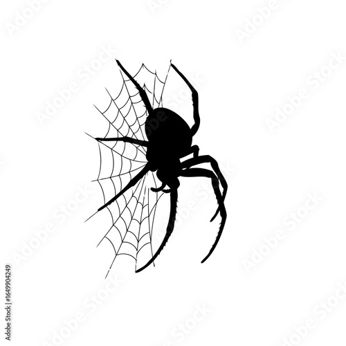 transparent background spider silhouette minimalist design element for modern presentations