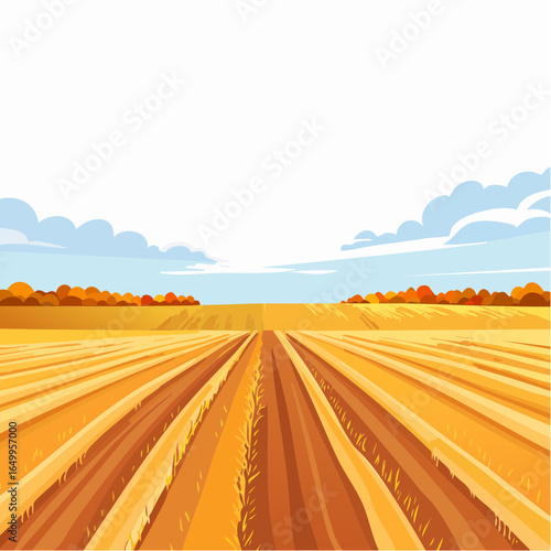 harvested empty agricultural field in autumn with sky isolated on white