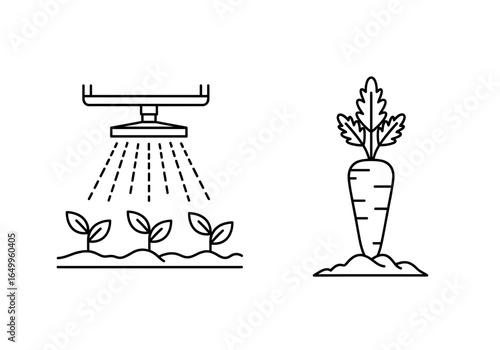 Outline illustration showing irrigation system watering plants, plus one carrot illustration on the right