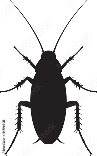Black Cockroach Silhouette on White Background