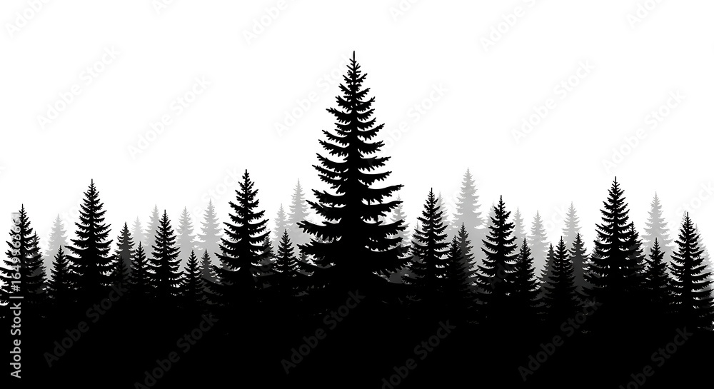 Fototapeta premium Evergreen Forest Silhouette Against White Background in Black and Gray