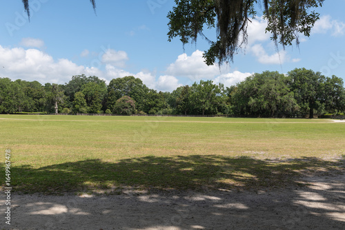 Wide grassy field with tree line under a sunny sky at Middleton Place Plantation.