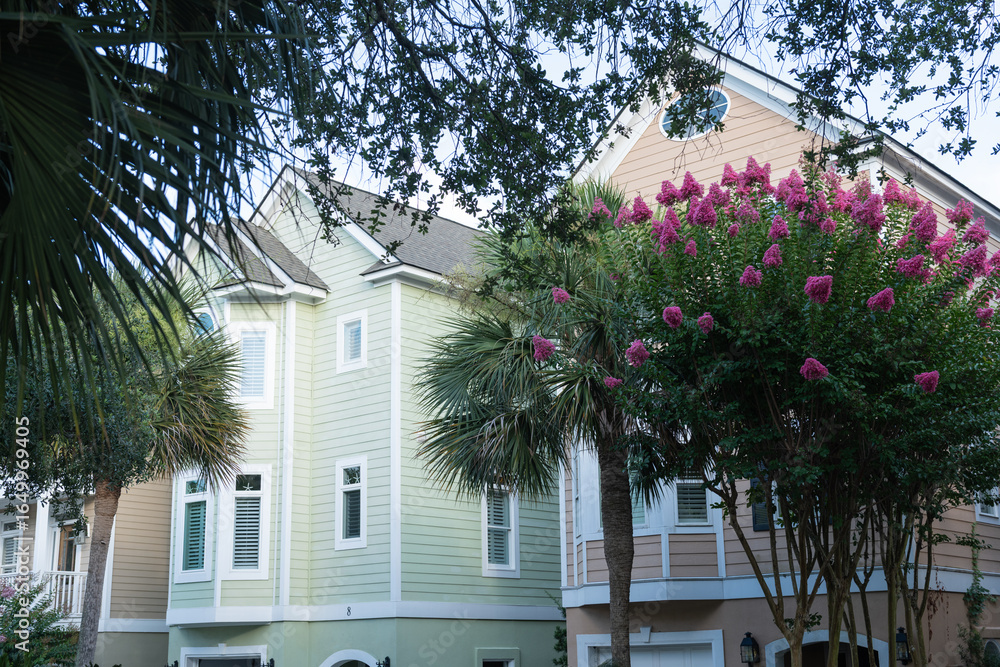 Fototapeta premium Isle of Palms, South Carolina, USA - June 30, 2025: A pastel green coastal home framed by palm trees and vibrant pink crepe myrtle blossoms in a residential neighborhood,