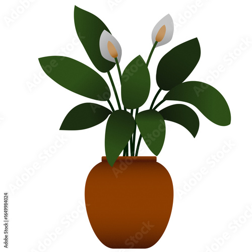 Potted Peace Lily Illustration with Green Leaves and White Blooms