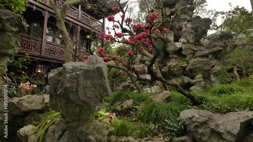 Natural and cultural landscapes within Shanghai Yu Garden. High quality 4k footage