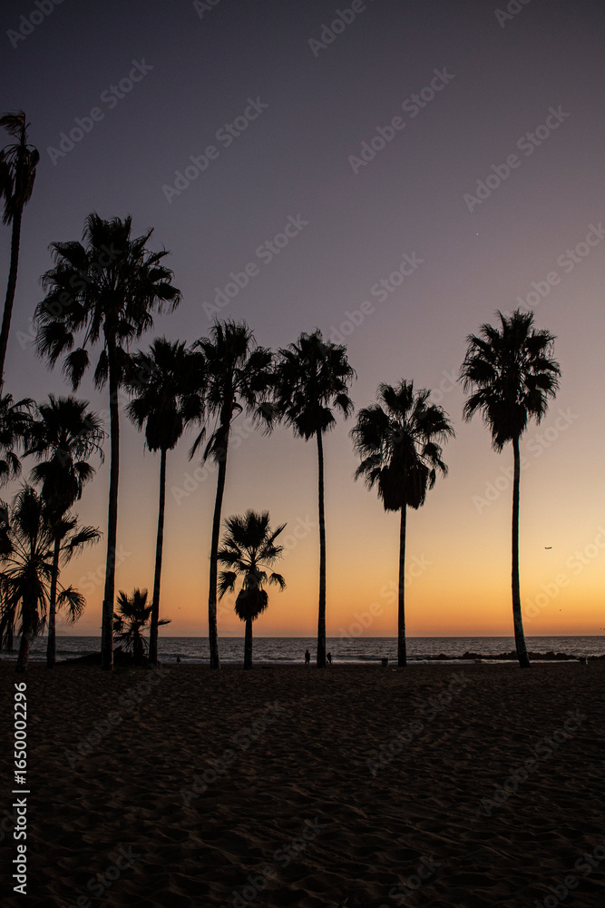 Obraz premium Palm trees on the sunset at venice beach, Los Angeles, California