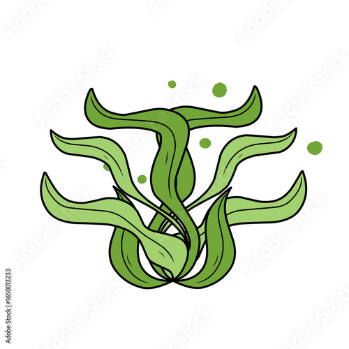green seaweed vector