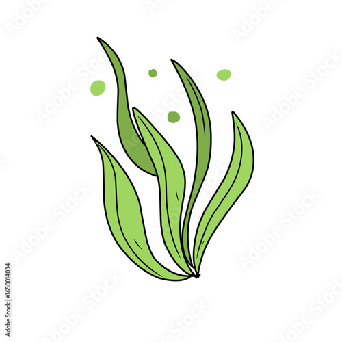 green seaweed vector