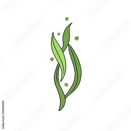 green seaweed vector