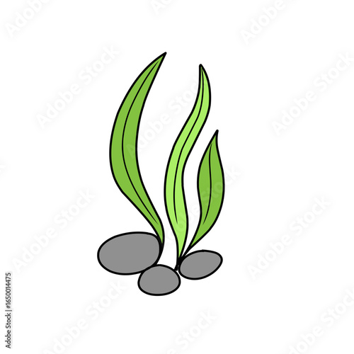 green seaweed vector