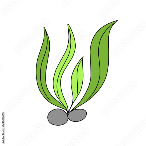 green seaweed vector