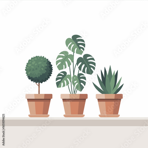 Three beautifully arranged potted plants feature a round topiary, a Monstera, and an agave, adding a touch of greenery to any modern interior space, enhancing its aesthetic.