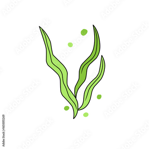 green seaweed vector