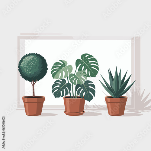 This image showcases a trio of stylish potted plants, including a round topiary, a lush Monstera, and a striking agave, perfect for enhancing modern decor in bright spaces.